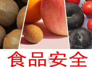 濰坊奎文區(qū)開展流通環(huán)節(jié)進(jìn)口食品與食用農(nóng)產(chǎn)品批發(fā)專項(xiàng)檢查，筑牢食品安全防線
