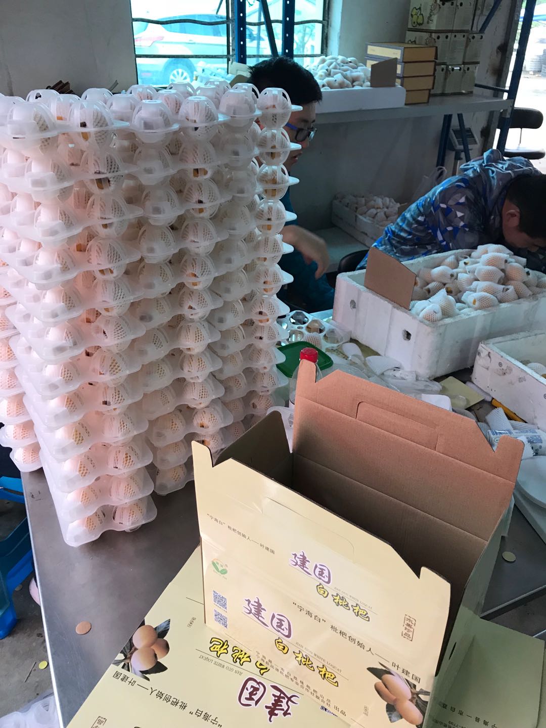 寧海白枇杷 一市建國的時令珍品，當(dāng)季新鮮直供